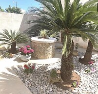 La Cycas