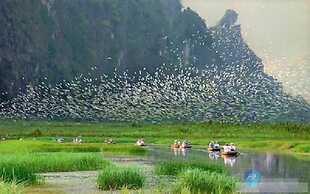Trang An Ao dai Homestay