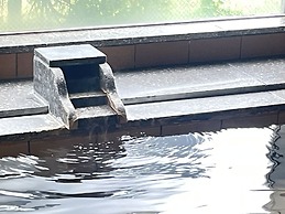 Ryokan Ichinomatsu