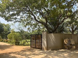 Saffron Lake Yala