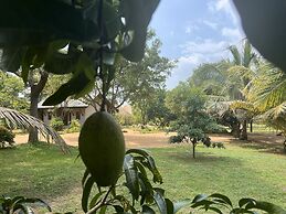 Saffron Lake Yala