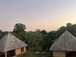Saffron Lake Yala
