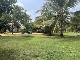 Saffron Lake Yala
