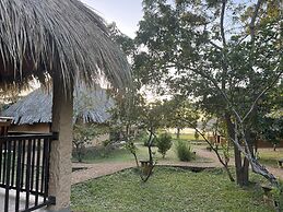 Saffron Lake Yala