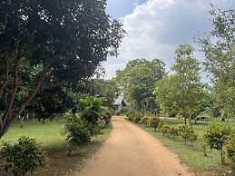 Saffron Lake Yala