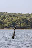 Saffron Lake Yala