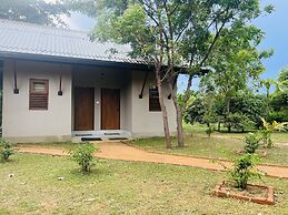 Saffron Lake Yala