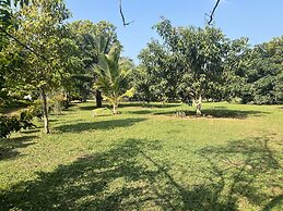 Saffron Lake Yala