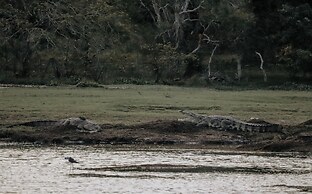 Saffron Lake Yala