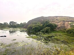 Saffron Lake Yala