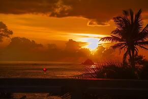 Cozy Cocos