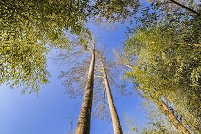 Grow Tree Glamping