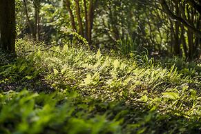 Grow Tree Glamping