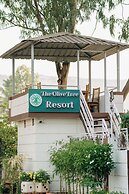 Olive Tree Resort