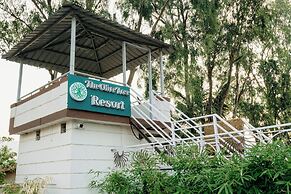 Olive Tree Resort