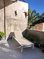surf n roll house