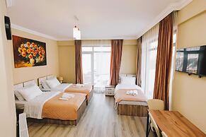 Dandelion Hotel Gudauri
