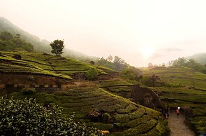 The Grand Cliff Resort Munnar