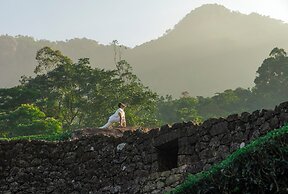 The Grand Cliff Resort Munnar
