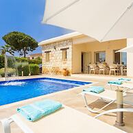 Villa Elite in Drouseia