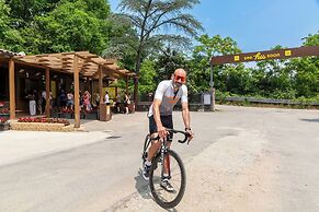 hu Firenze Certosa camping in town