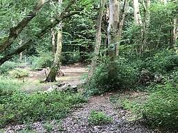 Private and Secluded Cabin in Rowfant