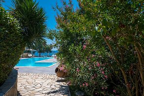 Costa Avithos