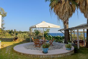Costa Avithos