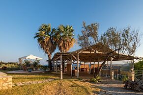 Costa Avithos