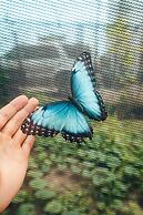 Pupa House
