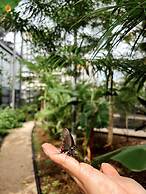 Pupa House