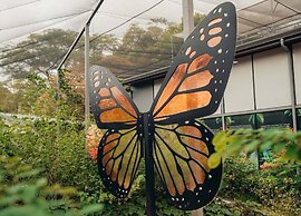 Pupa House