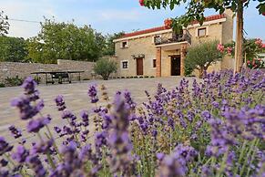 Villa Tereza in Prkos