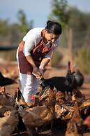 eumelia organic agrotourism farm