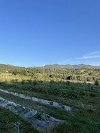 Domaine Machja