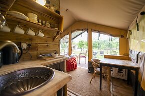 Torre Cider Farm