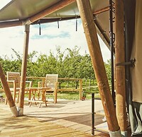 Torre Cider Farm