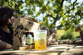 Torre Cider Farm