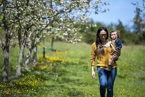 Torre Cider Farm