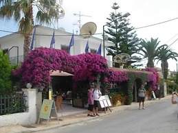 Harrys bar & apartments