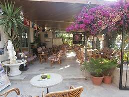 Harrys bar & apartments