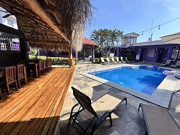 Tropical Paradise
