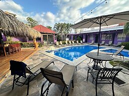 Tropical Paradise
