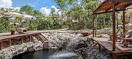 Selva norte Tulum