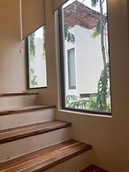 Selva norte Tulum