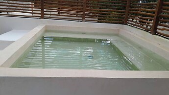 Selva norte Tulum