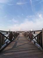 Vital Göl
