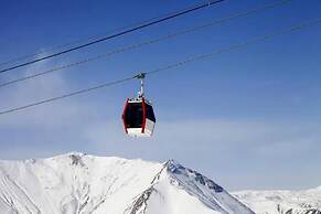 Impeccable 1-bed Apartment in Gudauri