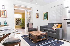 Botanic Bliss Living in Kingston