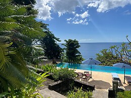 Authentic St. Lucian Experience At Prestigious 2-bed Villa - Colibri C